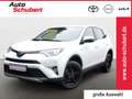 Toyota RAV 4 Hybrid 2.5 LED EL.HECKKLAPPE 360KAMERA SHZ Lenkrad Weiß - thumbnail 1
