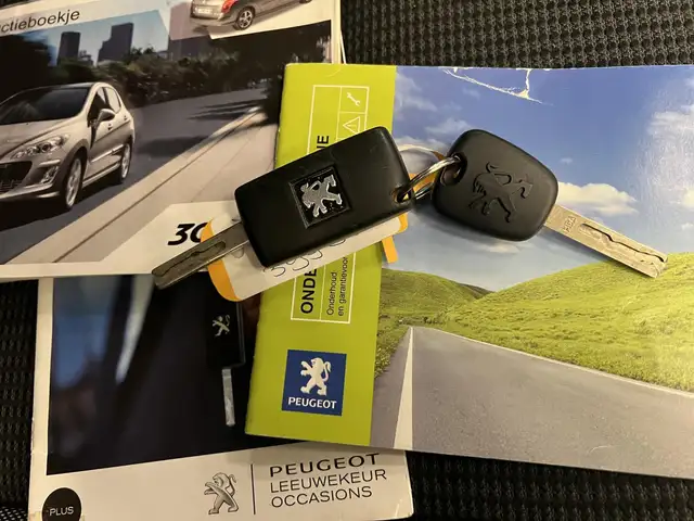 Peugeot 308 view 30