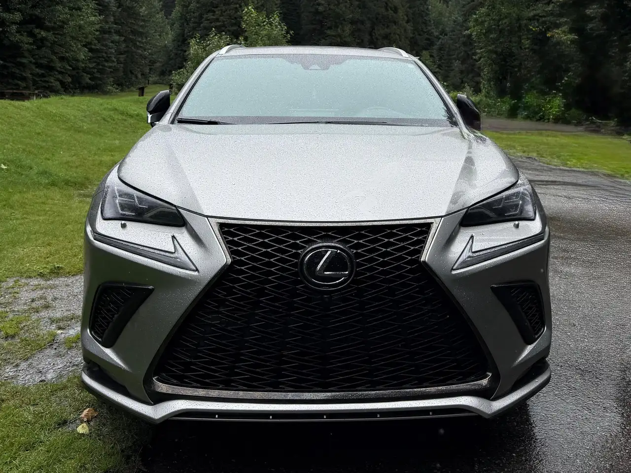 2020 Lexus NX photo 2020 Lexus NX