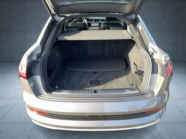 Audi E-Tron view 15