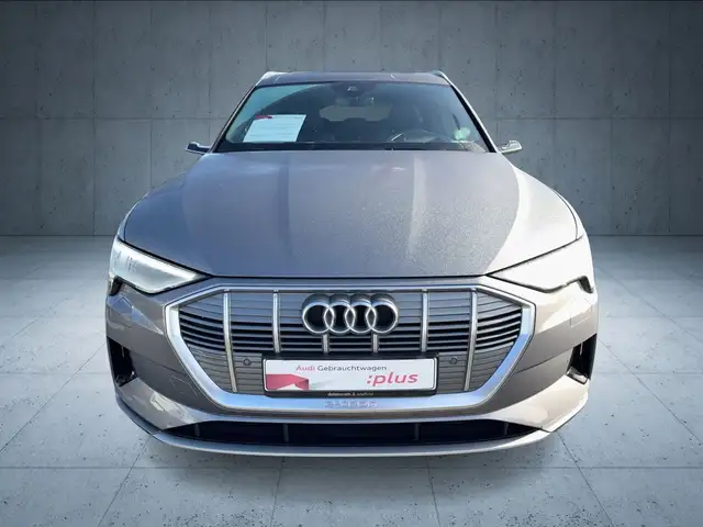 Audi E-Tron view 10