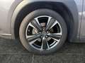 Lexus UX 250h Luxury Line *LEDER*CARPLAY*STZ-BELÜFT* Grau - thumbnail 15