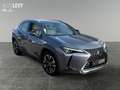 Lexus UX 250h Luxury Line *LEDER*CARPLAY*STZ-BELÜFT* Grau - thumbnail 8