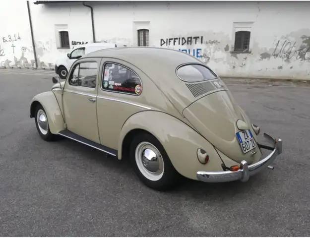 Volkswagen Maggiolino
