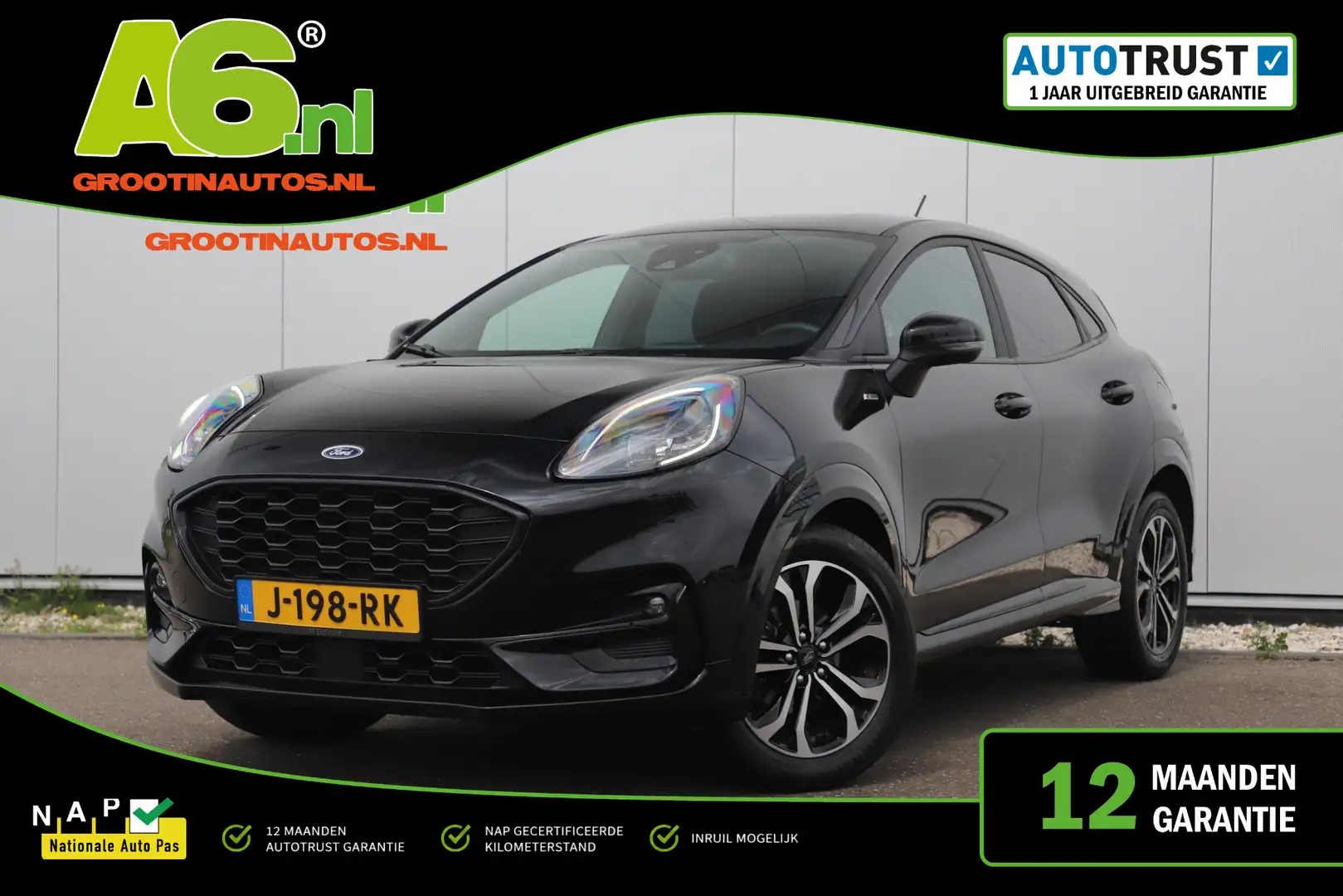 ford puma