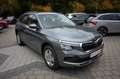 Skoda Kamiq 1.0 TSI DSG Selection 5JGAR+AHK+KAMERA+SHZ Gris - thumbnail 5
