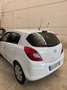 Opel Corsa 1.2 5 porte Edition con garanzia ottimi KM Bianco - thumbnail 12