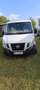 Nissan NV400 NV400 F28.13 L1H1 2,8t 2,3 dCi 125 Comfort Comfort Weiß - thumbnail 2
