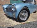 Austin-Healey 3000 MK1 5-Speed Factory Hardtop Bleu - thumbnail 32
