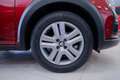 Dacia Sandero Stepway 1.0 tce Comfort 90cv - thumbnail 13
