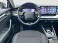 Skoda Octavia Combi Selection eTSI DSG|AHK|NAVI|KAMERA Grau - thumbnail 10