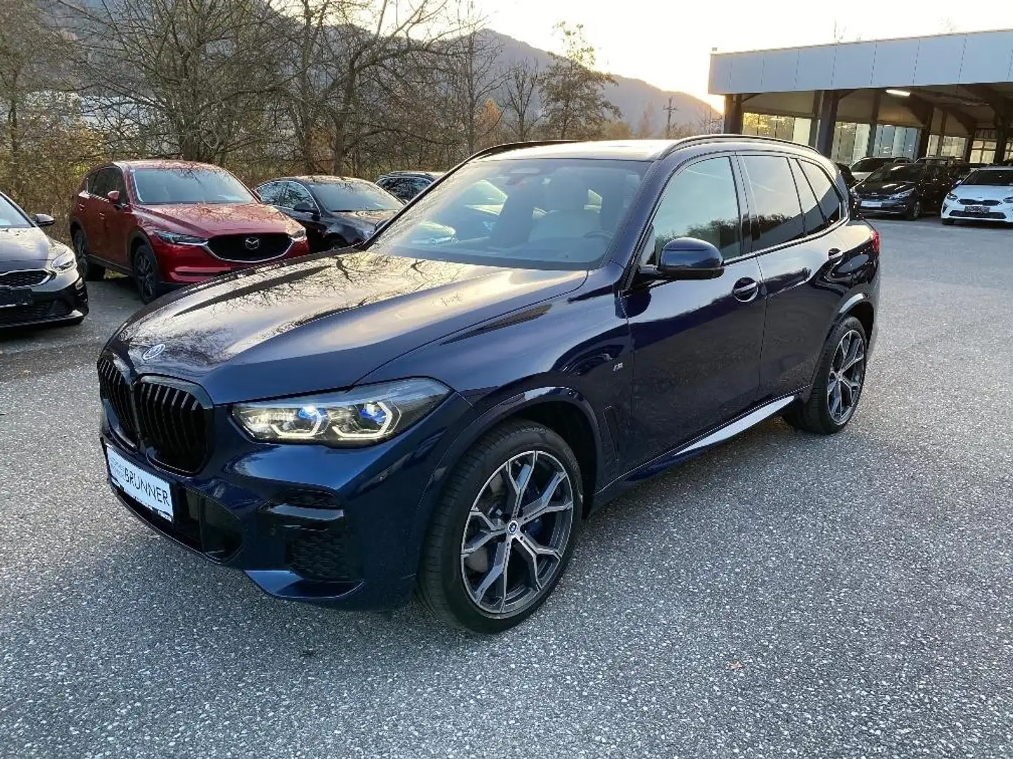 BMW X5 xDrive30d 48V Aut. Blau - 2