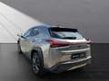 Lexus UX 250h 250h*EXECUTIVE*PREM* SCHIEBED.*15J-GARANTIE Silber - thumbnail 2