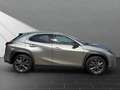 Lexus UX 250h 250h*EXECUTIVE*PREM* SCHIEBED.*15J-GARANTIE Silber - thumbnail 5