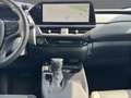 Lexus UX 250h 250h*EXECUTIVE*PREM* SCHIEBED.*15J-GARANTIE Silber - thumbnail 13