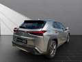 Lexus UX 250h 250h*EXECUTIVE*PREM* SCHIEBED.*15J-GARANTIE Silber - thumbnail 4