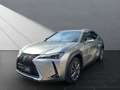 Lexus UX 250h 250h*EXECUTIVE*PREM* SCHIEBED.*15J-GARANTIE Silber - thumbnail 1