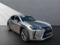 Lexus UX 250h 250h*EXECUTIVE*PREM* SCHIEBED.*15J-GARANTIE Silber - thumbnail 6
