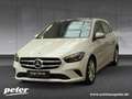 Mercedes-Benz B 220 d 4M Progressive/LED/Panorama-D/Kamera/AHK Wit - thumbnail 1