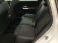Mercedes-Benz B 220 d 4M Progressive/LED/Panorama-D/Kamera/AHK Wit - thumbnail 14