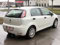 Fiat Punto 1,2 69 Pop *Pickerl 09/26* Weiß - thumbnail 3