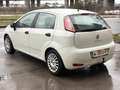 Fiat Punto 1,2 69 Pop *Pickerl 09/26* Weiß - thumbnail 4