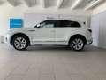Volkswagen Touareg 3ª serie - Touareg 3.0 V6 TDI SCR Elegance Blanc - thumbnail 3