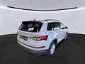 Skoda Kodiaq 2.0 TDI DSG *ACC*LED*AHK*SZHZG*DAB* Grau - thumbnail 2