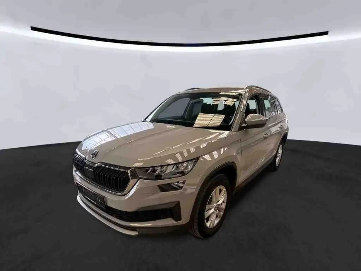 Skoda Kodiaq 2.0 TDI DSG *ACC*LED*AHK*SZHZG*DAB* Grau - 1