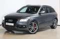 Audi SQ5 3.0 TDI quattro competition PANO|Xenon|Cam|BT Šedá - thumbnail 20