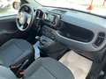 Fiat Panda 1.0 FIREFLY S&S HYBRID 70CV C.MANUALE NEOPATENTATI Nero - thumbnail 14