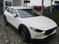Mazda CX-30 CX-30 e-SKYACTIVE G 122 PRIME-LINE Blanc - thumbnail 3