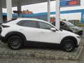 Mazda CX-30 CX-30 e-SKYACTIVE G 122 PRIME-LINE Blanc - thumbnail 2