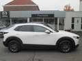 Mazda CX-30 CX-30 e-SKYACTIVE G 122 PRIME-LINE Blanc - thumbnail 1