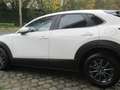 Mazda CX-30 CX-30 e-SKYACTIVE G 122 PRIME-LINE Blanc - thumbnail 5