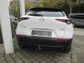 Mazda CX-30 CX-30 e-SKYACTIVE G 122 PRIME-LINE Blanc - thumbnail 14