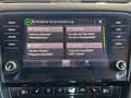 Skoda Octavia 1.0 TSI Style Silber - thumbnail 24