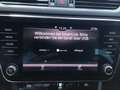 Skoda Superb Style TDI Weiß - thumbnail 10