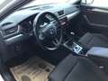 Skoda Superb Style TDI Weiß - thumbnail 6