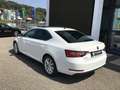 Skoda Superb Style TDI Weiß - thumbnail 4