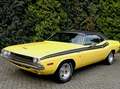 Dodge Challenger R/T Tribute Yellow - thumbnail 4