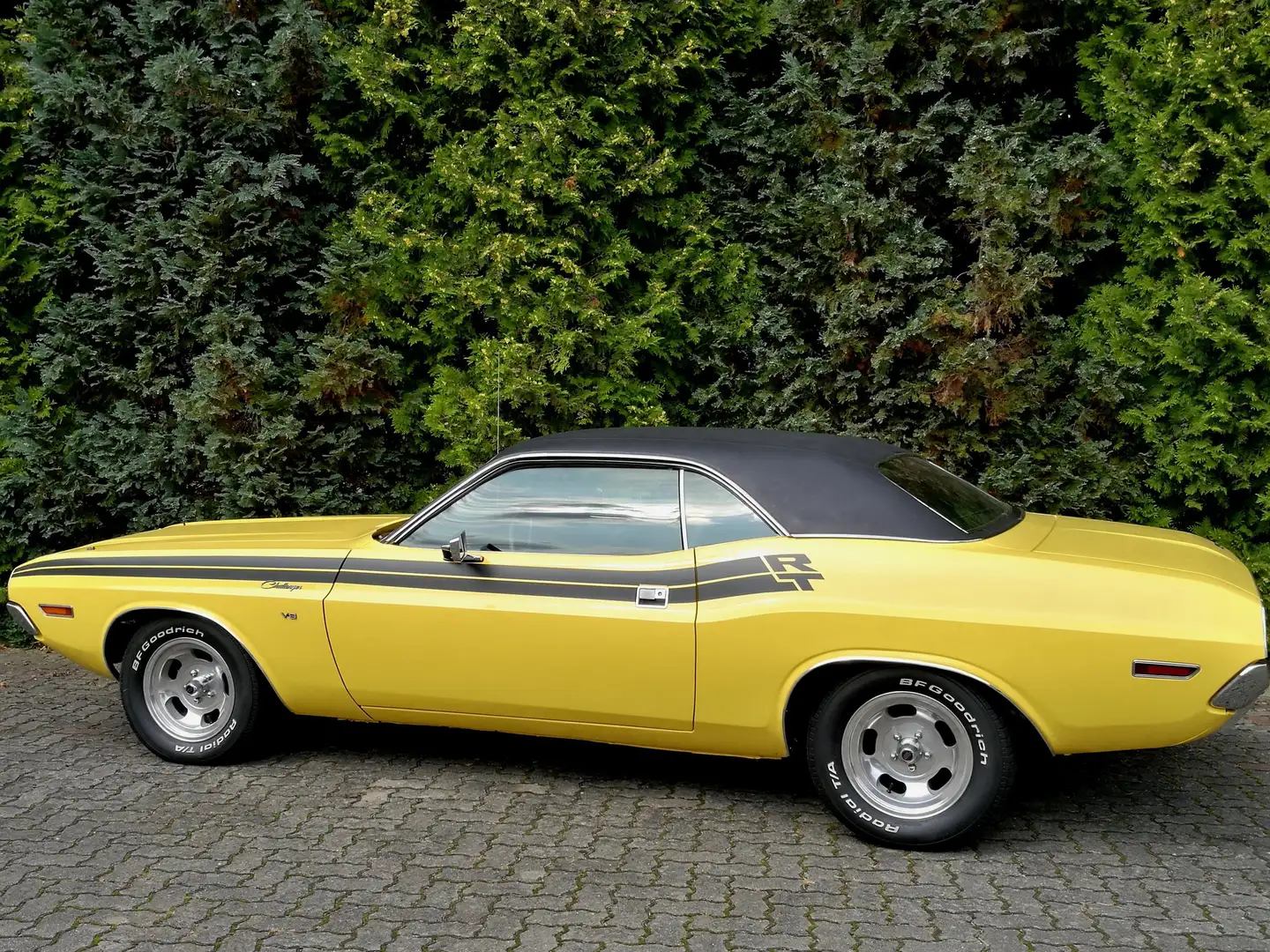 Dodge Challenger R/T Tribute Yellow - 2