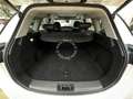 DR Automobiles DR6.0 dr 6.0 1.5 turbo Gpl 149cv cvt S3 NEW MODEL DAB Bianco - thumbnail 14