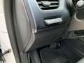 Renault Arkana 1.3 TCe 140 Mild-Hybrid Equilibre KAMERA Weiß - thumbnail 21