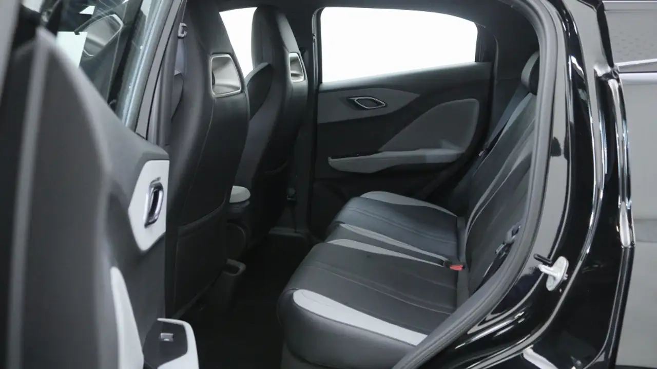 BYD DOLPHIN SURF