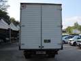 Iveco Daily FORD TRANSIT T350 GEMELLARE CASSONATO Bianco - thumbnail 5