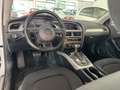 Audi A4 allroad A4 Allroad 2.0 tdi Business 177cv s-tronic Weiß - thumbnail 5