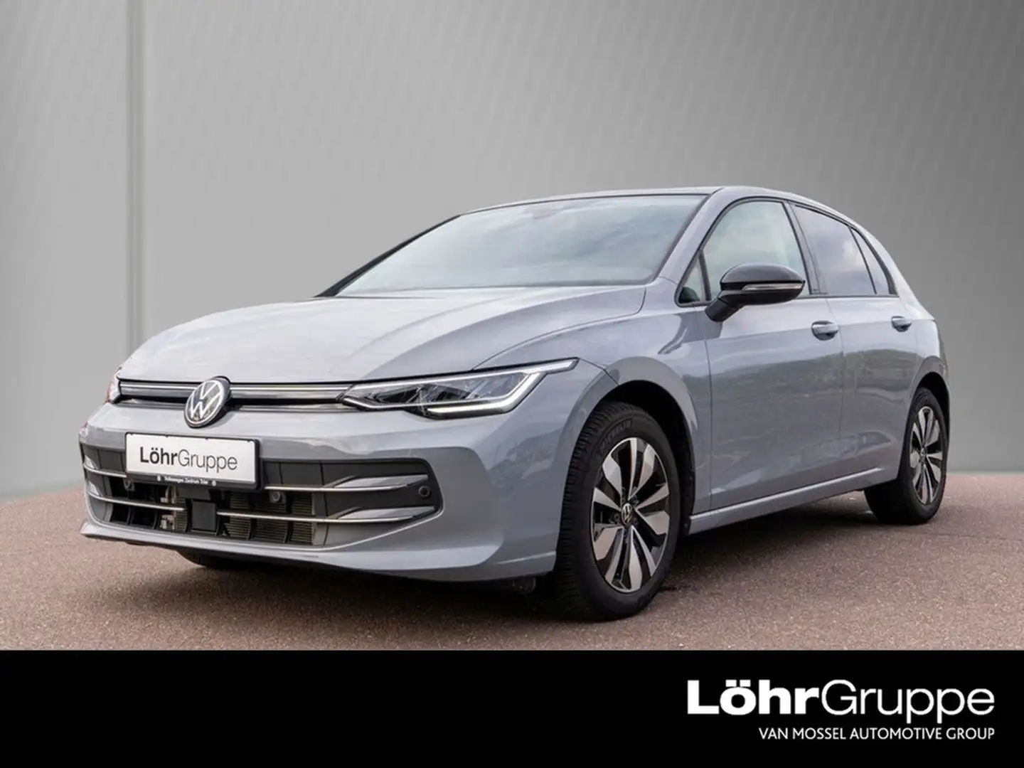 Volkswagen Golf VIII 2.0 TDI DSG Goal Pano, Rear-View Grau - 1