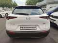 Mazda CX-30 2.0 Klimaaut/Navi+Cam/Sitzhzg/Alu18" Weiß - thumbnail 9
