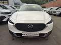 Mazda CX-30 2.0 Klimaaut/Navi+Cam/Sitzhzg/Alu18" Weiß - thumbnail 2